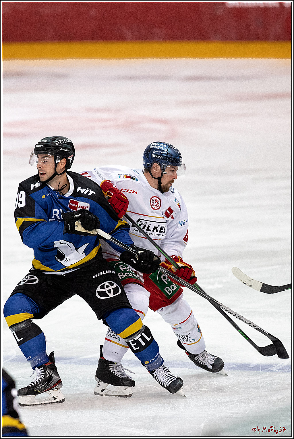 PENNY DEL;  Koelner Haie - Duesseldorfer E.G.; Koeln, 27.08.2021